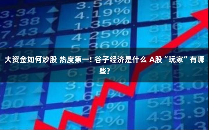 大资金如何炒股 热度第一! 谷子经济是什么 A股“玩家”有哪些?