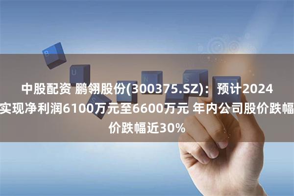 中股配资 鹏翎股份(300375.SZ)：预计2024年中期实现净利润6100万元至6600万元 年内公司股价跌幅近30%