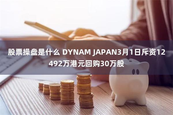 股票操盘是什么 DYNAM JAPAN3月1日斥资12492万港元回购30万股