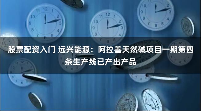 股票配资入门 远兴能源：阿拉善天然碱项目一期第四条生产线已产出产品